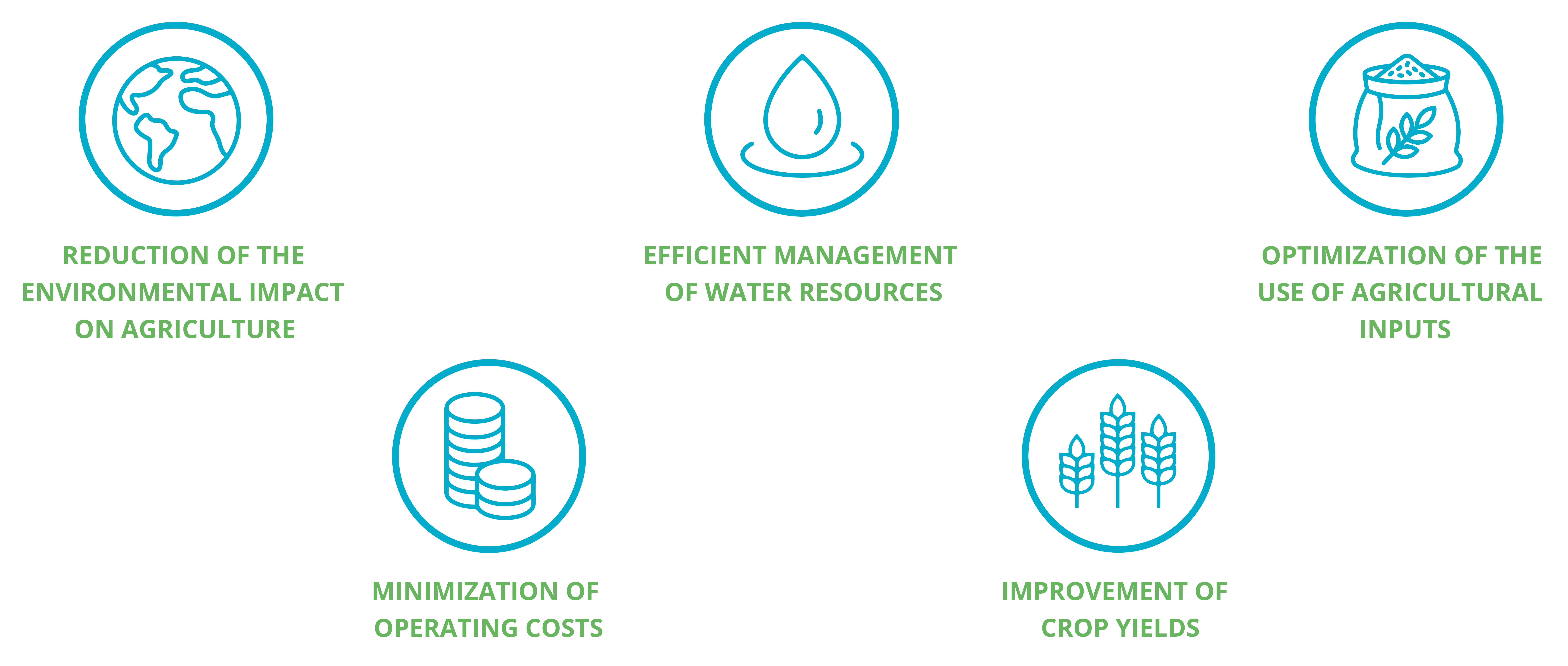 Smart agriculture strategy consulting firm. A sustainable approach that promotes healthy ecosystems to conserve biodiversity.